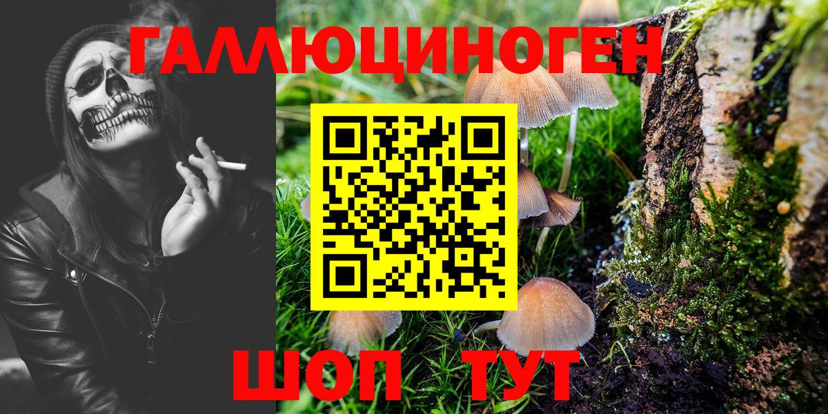Сергиев Посад  Галлюциногенные грибы Psilocybe  Вход с VPN 