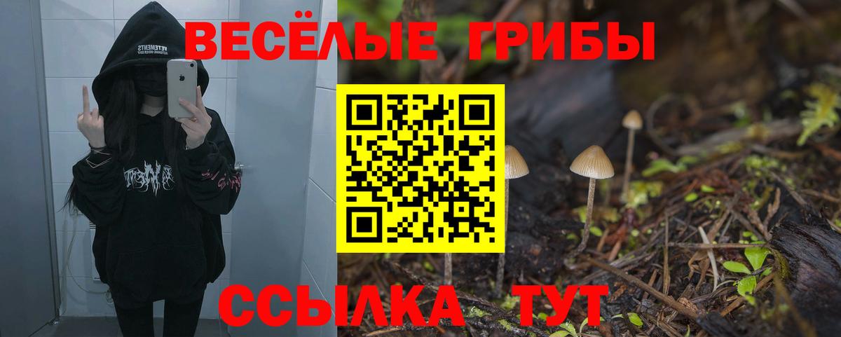 Галлюциногенные грибы мухоморы Сергиев Посад