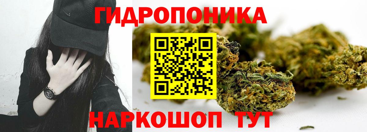 Канабис план Сергиев Посад